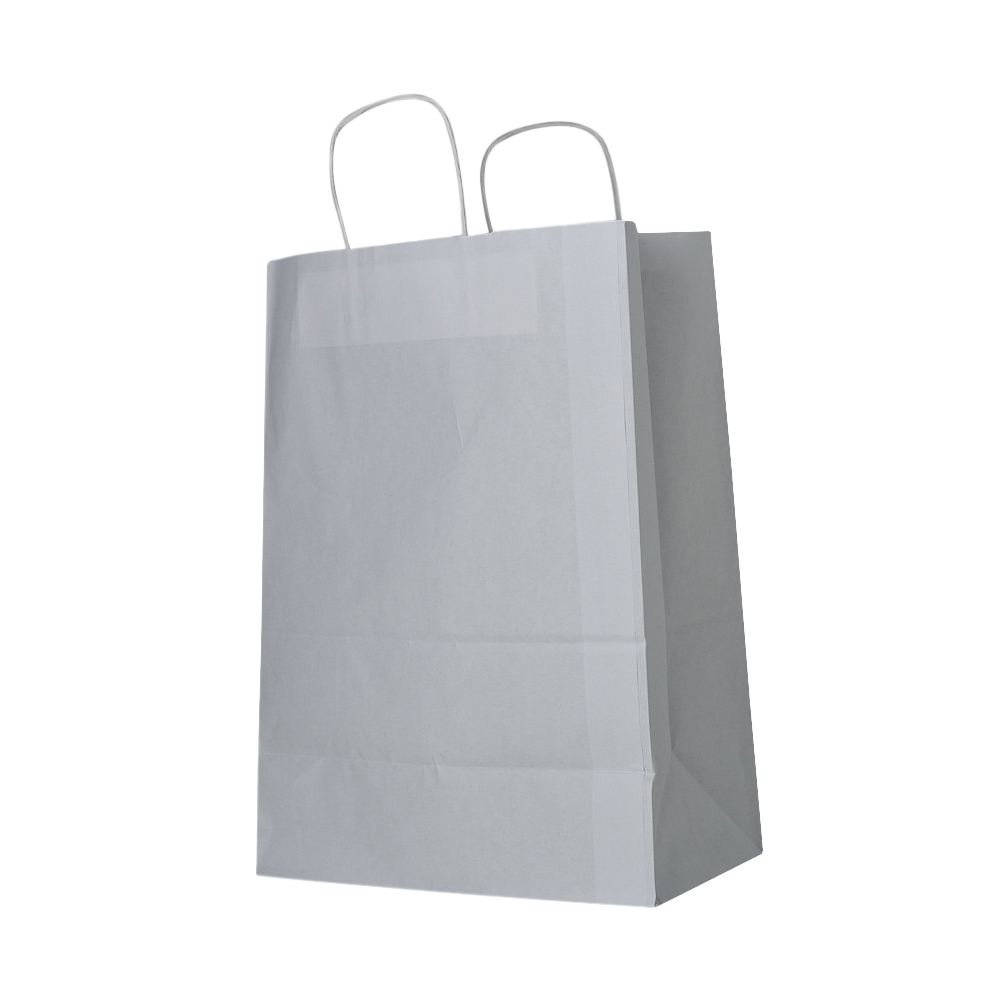 White 100gsm Gusset Twisted Paper Handle Retail Bag